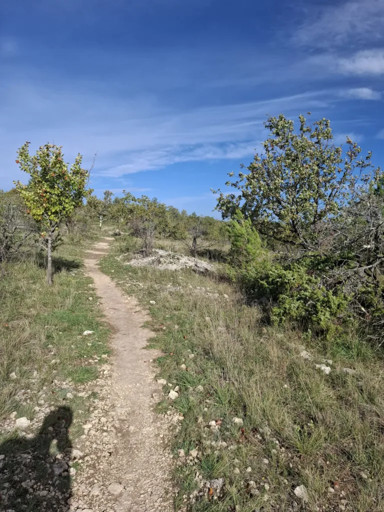 Cahors zmizel po francouzsku
