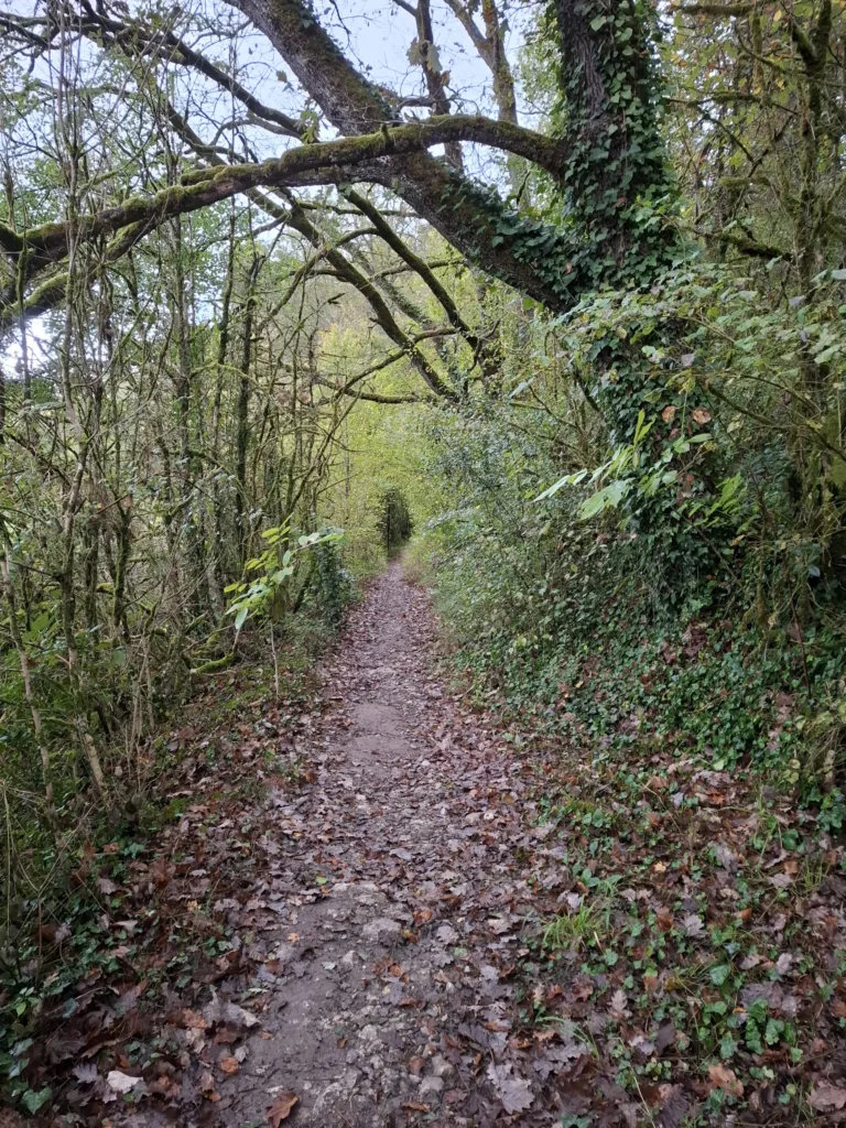 Saint-Jean-le-Froid cesta