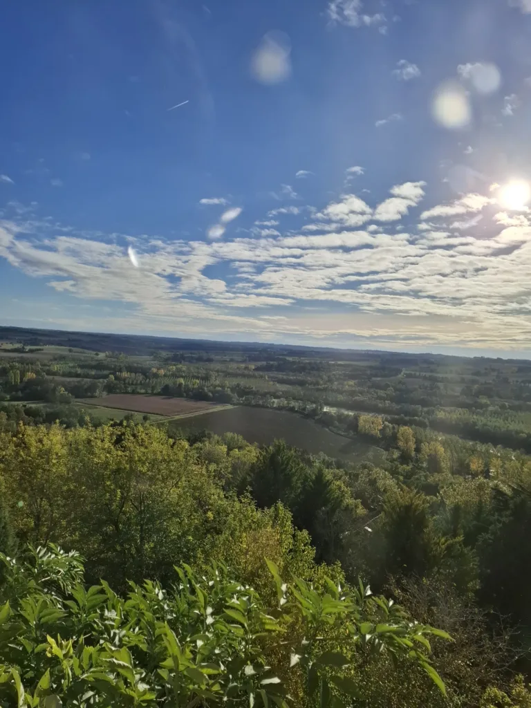 Gaskoň z Village des Brocanteurs