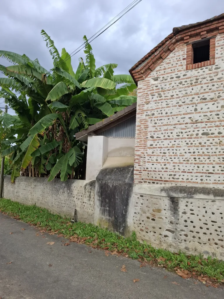 Banánovníky Géus-d’Arzacq