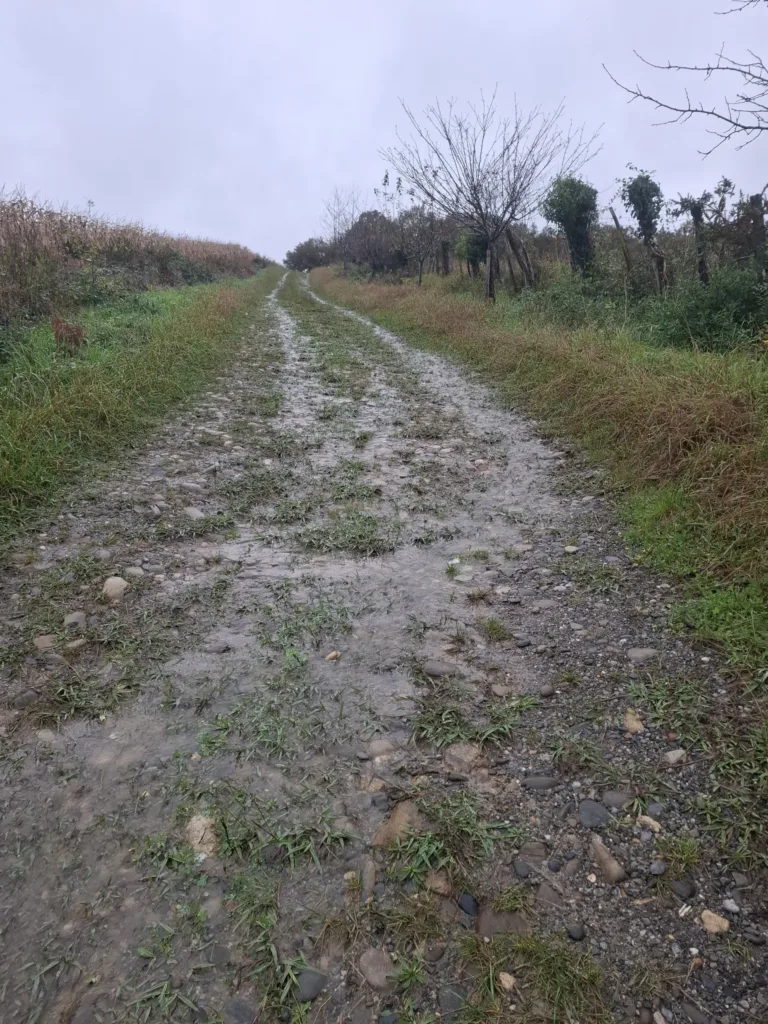 Castetnau-Camblong polní cesta