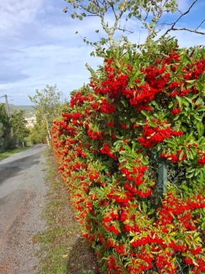 Cahors sestup do města