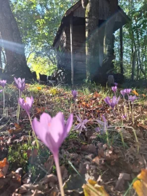 D'Arthez-de-Béarn naháčky