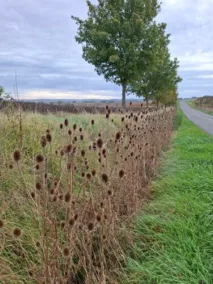 Štětky ve Flamarens