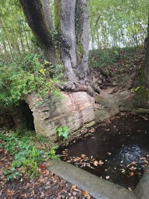 Studánka Durfort-Lacapelette