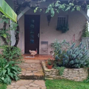 Zmoklé slepice Moissac