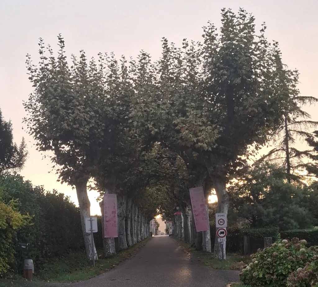 alej před San Antoine