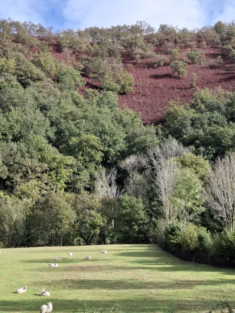Cestou na Cambo-les-Bains