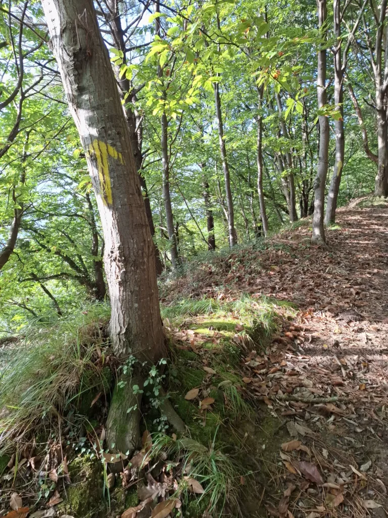 Irún značka svatojakubské cesty šipka