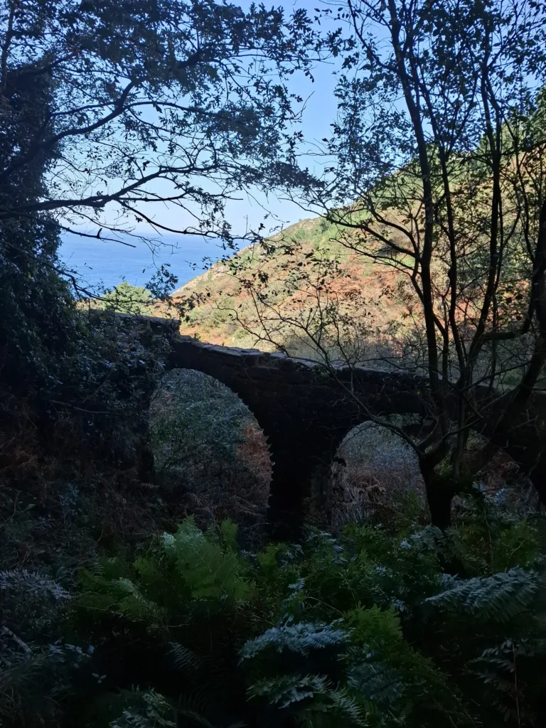 Pasaia Donibane vodovod v lese