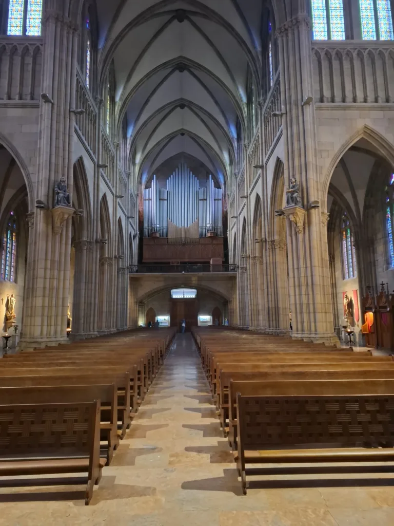 Catedral del Buen varhany