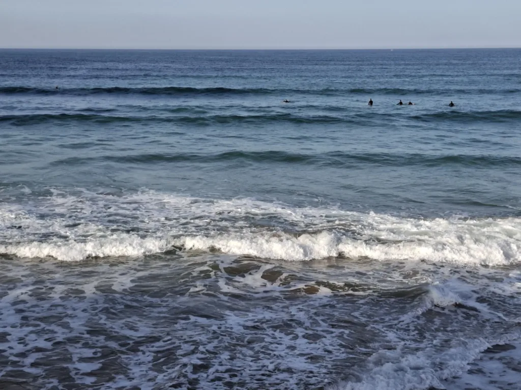 Zarautz tuleni v moři čekají na vlnu