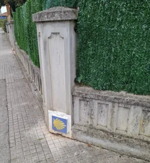 Llanes svatojakubská mušle