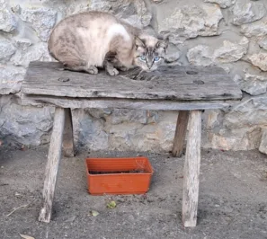 Modroočko Albergue La Llosa de Cosme