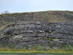 Obří žížaly vrstvy kde žijí