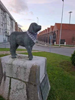 Perro de agua Santoña