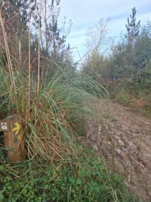 Pozueta bahnitá cesta