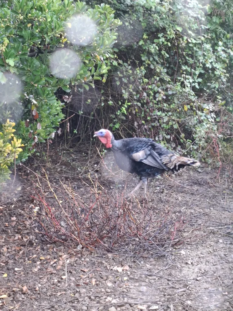 Gijon Arcelor dělnická čtvrť hudry hudrák