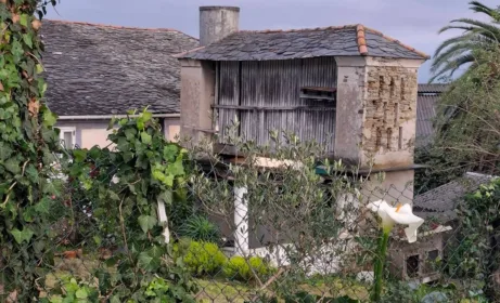 Den kdy kvetly příkopy kala