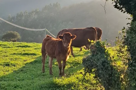 Galicie země tisíců