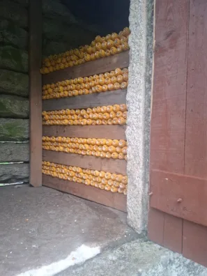 Kamenné panareo uskladněná kukuřice