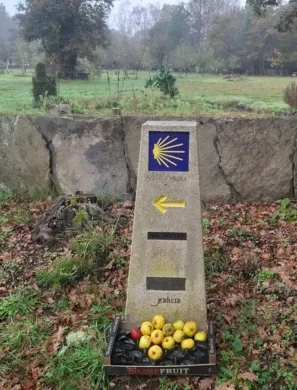 Maragata jablka pro&nbsp;poutníky