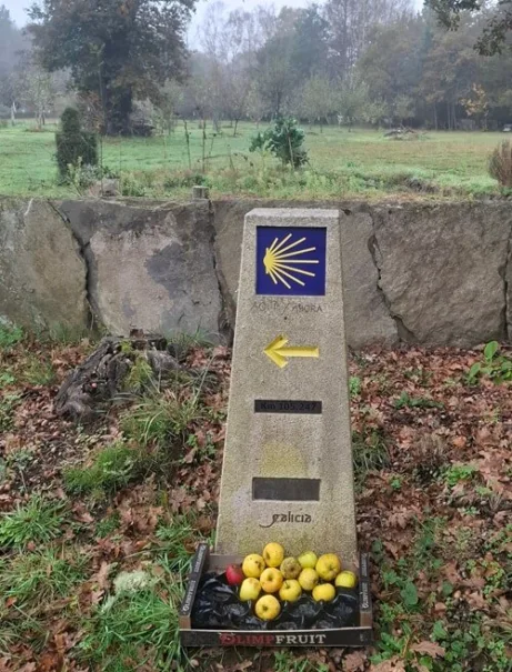 Maragata jablka pro poutníky