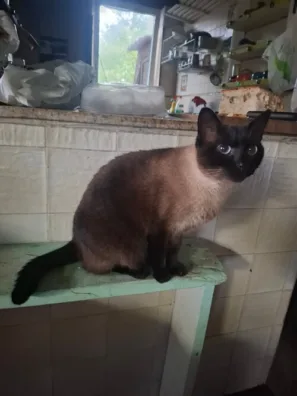 Pojď na kafe do Fisterra