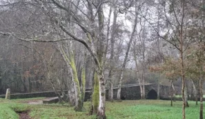 Ponte de Saa v&nbsp;Insua