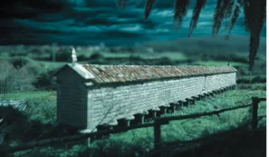 San Martiño sýpka panareo