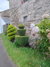 Stromky v&nbsp;Ponteroxal