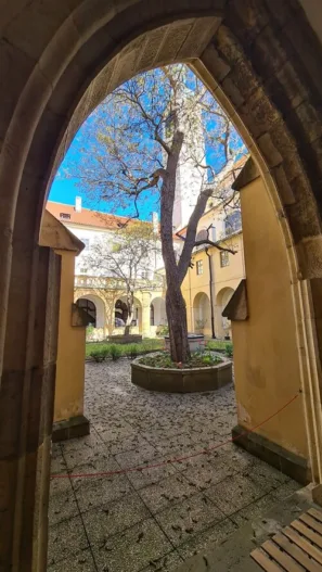 Minoritský klášter u&nbsp;Sv. Jakuba Většího